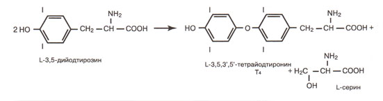 ����������� ������������� � ��������